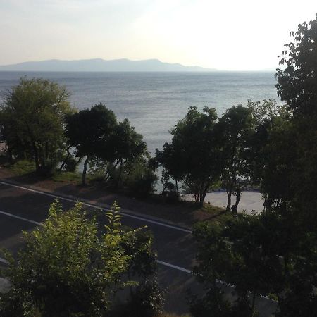 Apartment Marina Senj Senj  Eksteriør billede